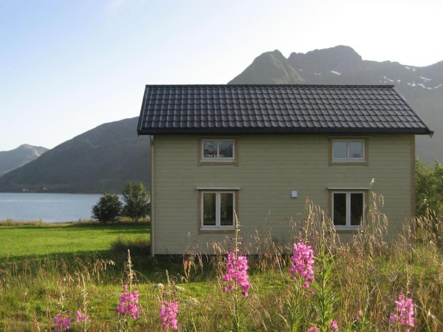 Charming House By The Sea, Lofoten! Laupstad Dış mekan fotoğraf