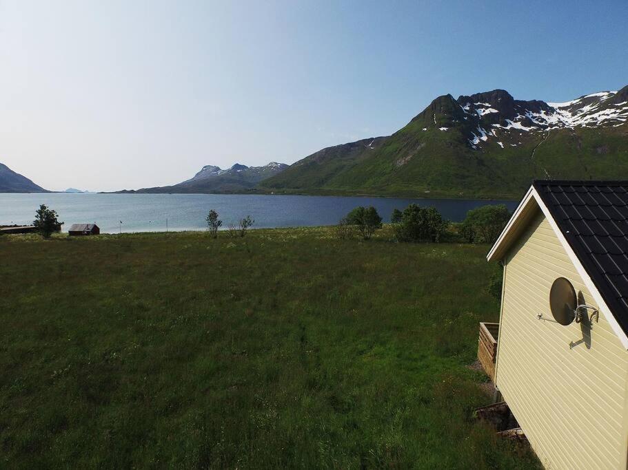 Charming House By The Sea, Lofoten! Laupstad Dış mekan fotoğraf