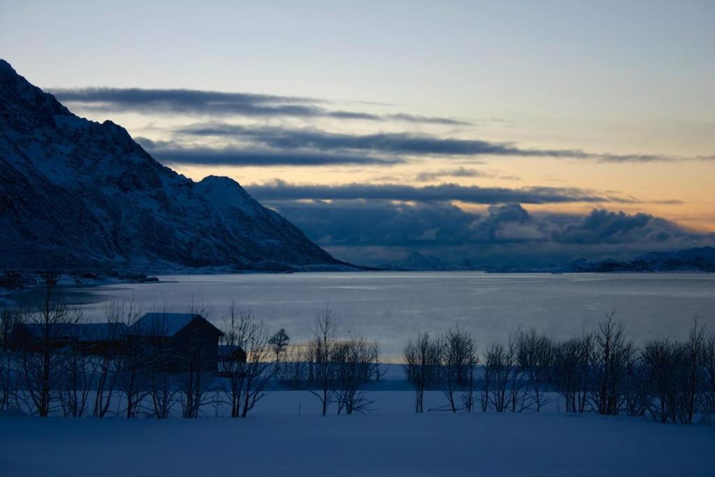Charming House By The Sea, Lofoten! Laupstad Dış mekan fotoğraf