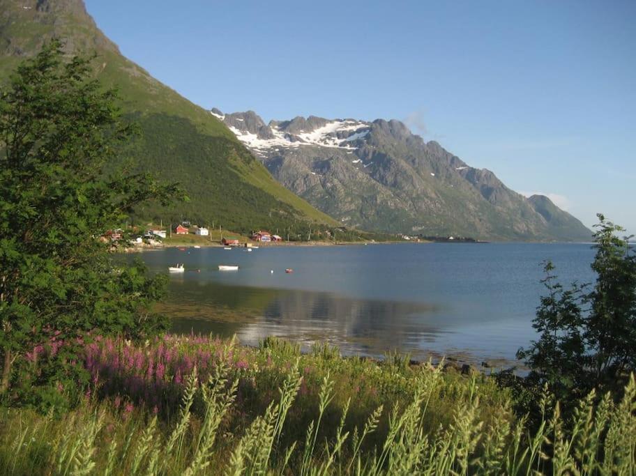Charming House By The Sea, Lofoten! Laupstad Dış mekan fotoğraf
